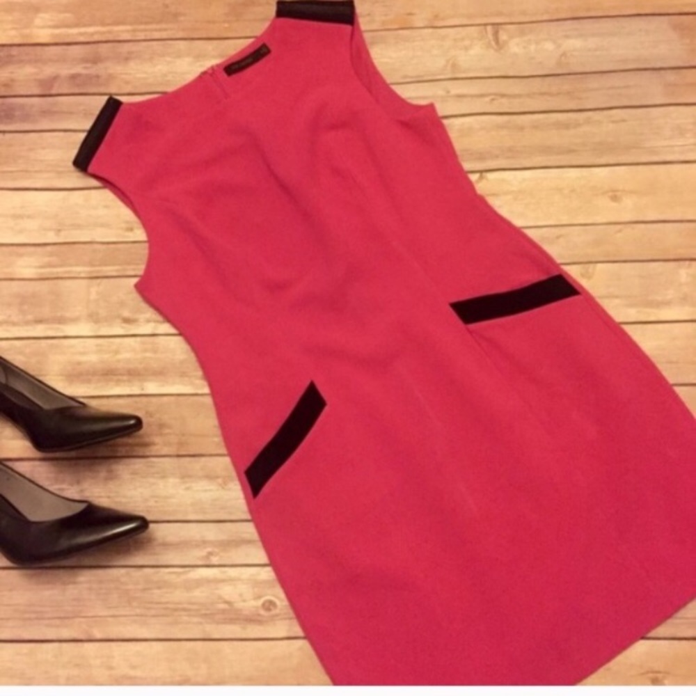 The Limited Berry Pink Shift Dress